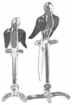pirg1959_p16b_2parrot